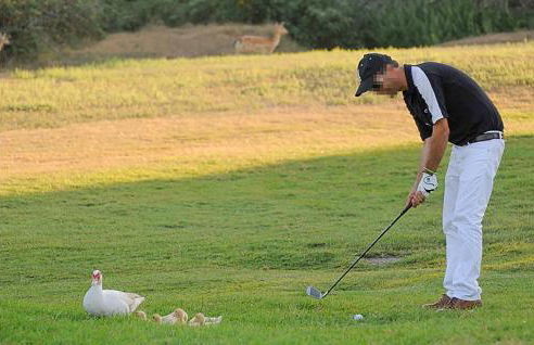 3 Bedroom Nice Home In Albarella Ro - Foto 42