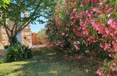 CalypSo Luxury Mas Madeleine - Foto 27
