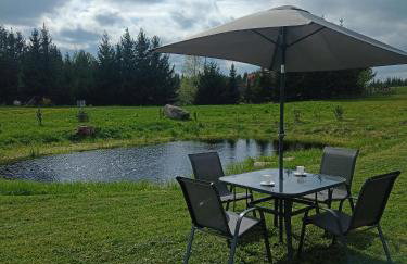 DOM w JESIONACH Brajniki - działka 1 HEKTAR - Photo 31