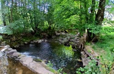 Gite de l'Ours - Foto 8