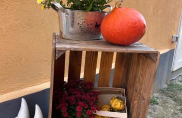 Gutshof von Gemünden Ferienwohnung 1 - Foto 62