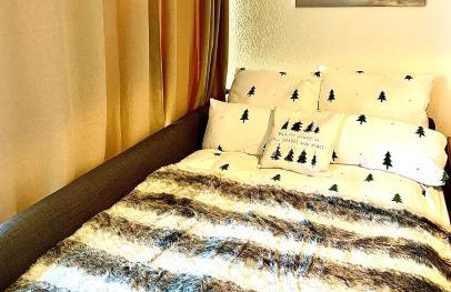 FeWo Fuchs Saig - Photo 24