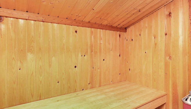 6 Person Holiday Home in Jerup - Foto 2, Sauna
