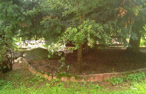 Gîte de la P'tite Rainette - Foto 6