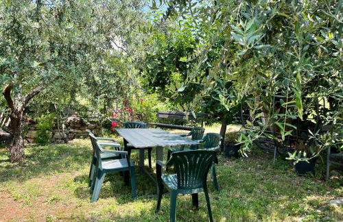 Corte Lavarini The Magic At Sight - Foto 44