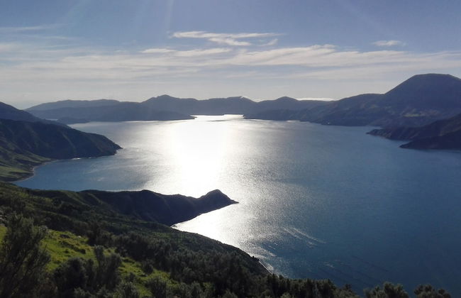 The Lodge At Te Rawa - Boat Access Only - Foto 46