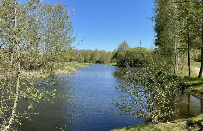 2 bedroom Apartment in Splietsdorf with garden - Photo 25