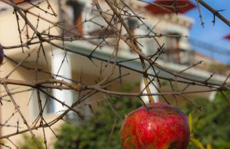 Green Park Apartments - Foto 86