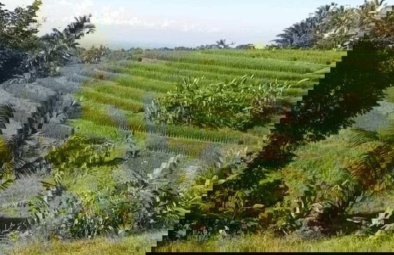 duegoal farmhouse - Photo 46