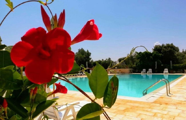 Residenza Aurora - Foto 39