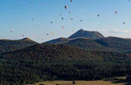 Les Cactus #MaisonSavaron - 52m2 - Terrasse - Foto 66