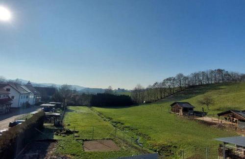 Große tolle 4 Zimmer Ferienwohnung im Herzen des Odenwaldes - Foto 67