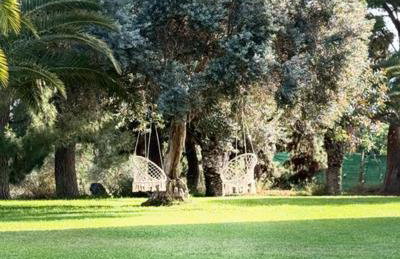 Terre di Senia - Photo 53
