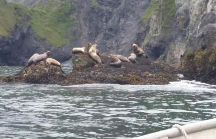 Secluded Waterfront Cottage Rental near Anchorage, Alaska - Foto 22