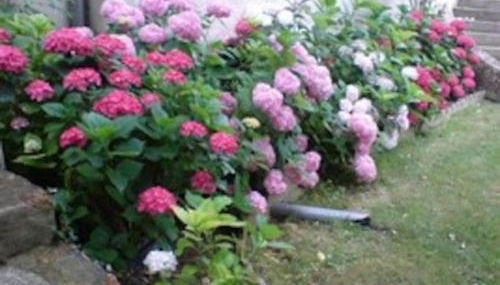 Vaste maison 23/29 pers. piscine proche des plages - Photo 5