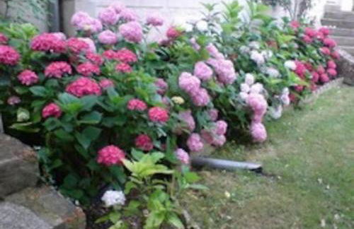 Vaste maison 23/29 pers. piscine proche des plages - Photo 5