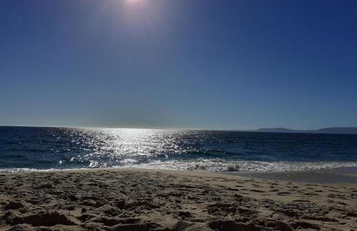 Il Glicine - Foto 30