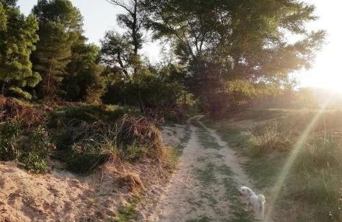 Casa Rural E Puente del Segura - Foto 43