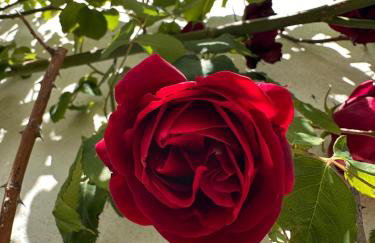 Little Tretheene - Photo 17