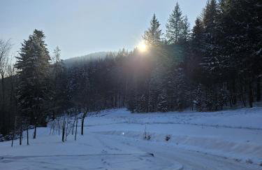 Malowany Las - Foto 32