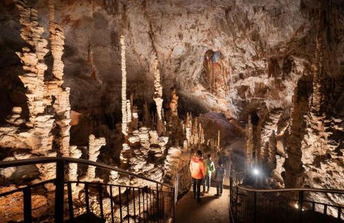 Gite Esprit Colibri - Foto 7