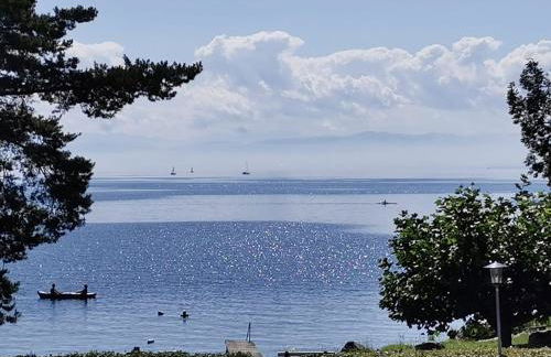 Gästehaus zum Landesteg - Foto 56