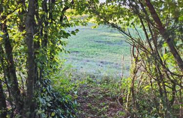 Kuća za odmor Šumska Vila - Foto 57