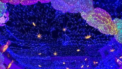 La Rosa Dei Venti Guest House - Photo 3