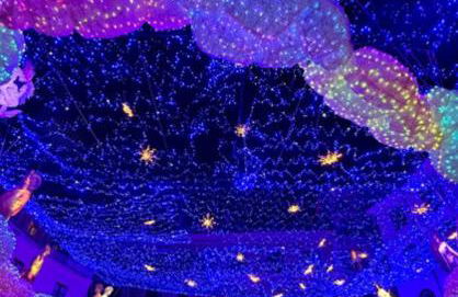 La Rosa Dei Venti Guest House - Photo 3