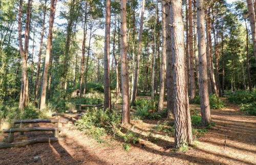 36 Main Street - Foto 22