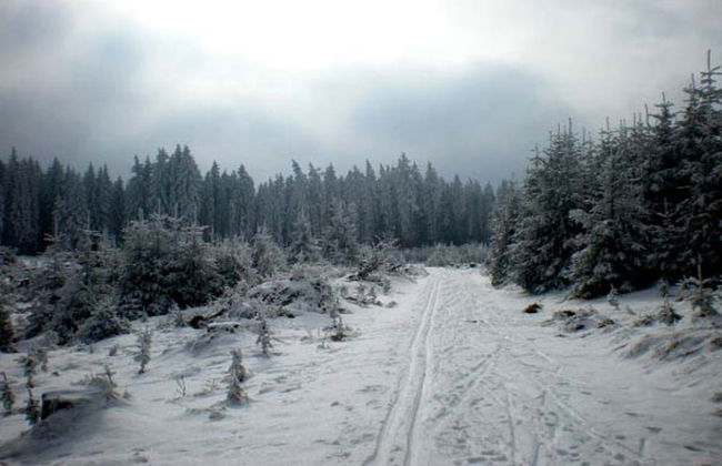 Holiday Home in Altmelon Near Weinsberg Forest - Foto 35