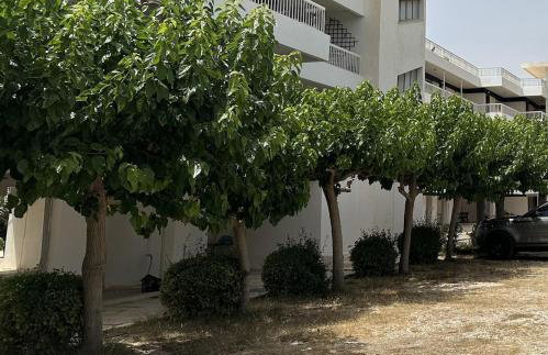 Apartment by the beach - Foto 19