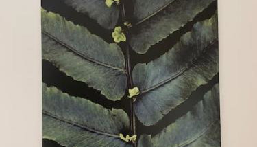 Das Schatzgräberhaus im Herzen von Bamberg. - Foto 3