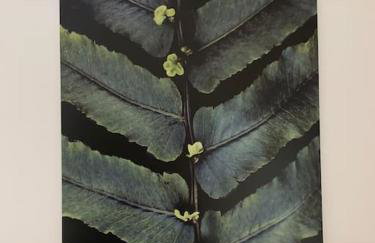 Das Schatzgräberhaus im Herzen von Bamberg. - Photo 3