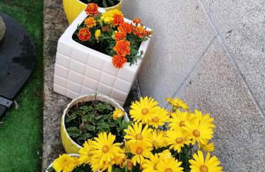 La Veiga Romana - Foto 12