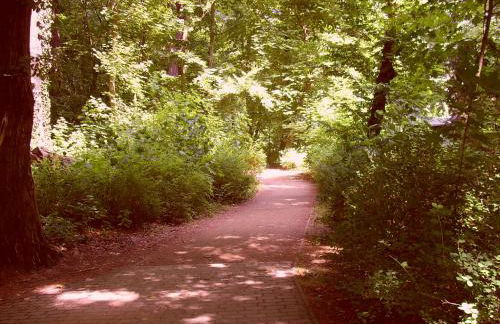 Ferienwohnung Hainbuche Lübben im Spreewald - Foto 27