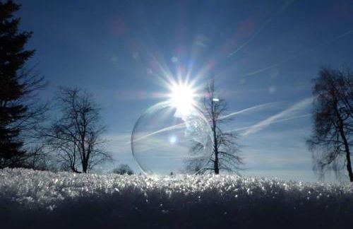 Urlaubsdomizil Am Töpfer - Ferienwohnungen in Olbersdorf - Foto 68