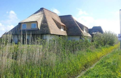 Haus Düwelswarft Whg. Delphin - Foto 9