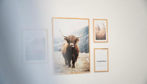 Ferienwohnung VinoDino - Foto 3