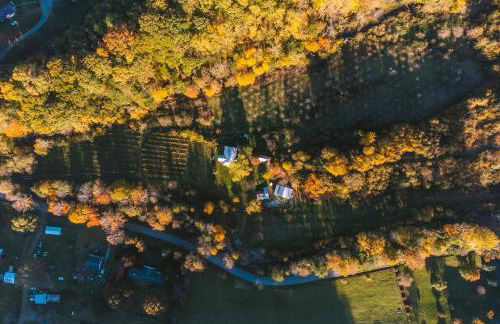 Idyllic Home on 26-Acre Farm in Blue Ridge Mtn - Foto 37