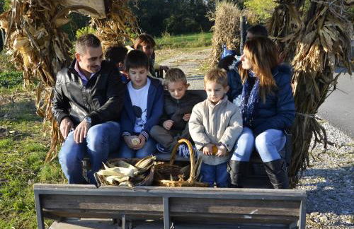 Lataria dei Magredi - Foto 29