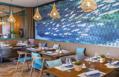 Studio Occidental banus - Foto 15