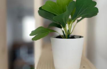 Studio Terrasse et parking, 4 pers par ALP Chartres - Foto 7