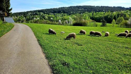 Annie's apartment - Foto 2