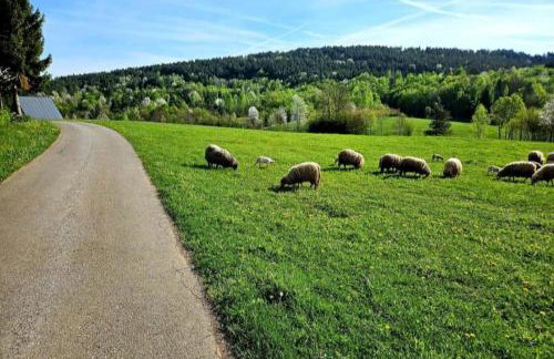 Annie's apartment - Foto 2