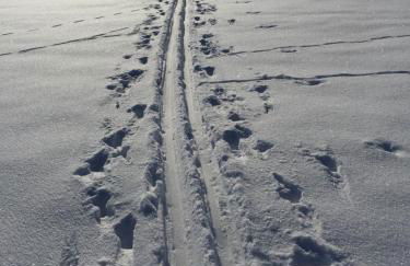 Kathrin`s Appartment - Foto 19