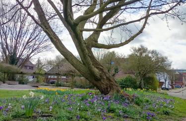 Vörde Stadtidyll - Foto 11