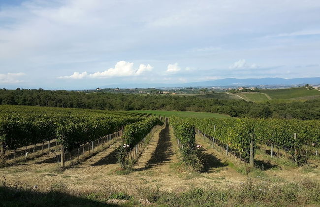 Agriturismo Podere Casa al Vento - Photo 62