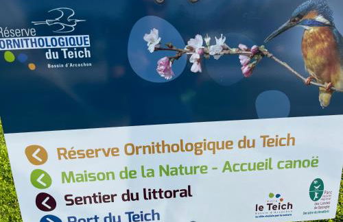 Le Nid du Teich - Photo 17