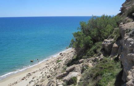 Château de la Motte - Entre Narbonne et le Canal du Midi - Foto 12